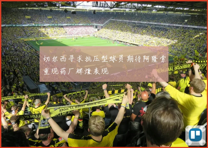 切尔西寻求抗压型球员期待阿隆索重现药厂辉煌表现
